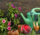 Groene tips voor het verzorgen van je tuin tijdens droogte